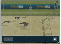 William Hill wird die Greyhound Racing Association unterstützen