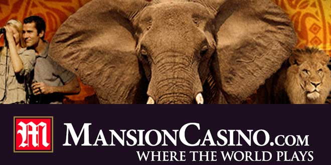 Safari vs Beach Rennen im Mansion Online Casino