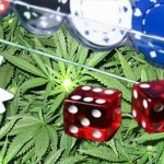 Legales Marihuana oder legales Online Glücksspie?