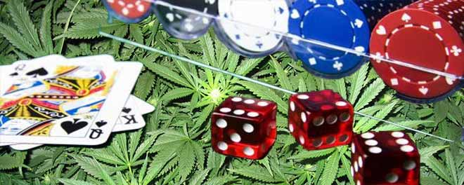 Legales Marihuana oder legales Online Glücksspiel?