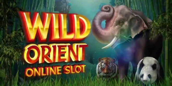 Wild Orient – ein neuer Microgaming Spielautomat