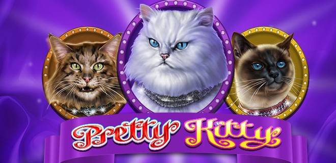 Millionenauszahlung mit Online Spielautomat Pretty Kitty