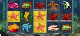 Fischvergnügen im Online Spielautomaten Megaquarium