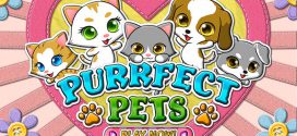 Haustiervergnügen mit dem Online Spielautomaten Purrfect Pets