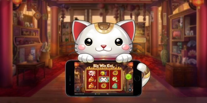 Große Gewinne mit Online Spielautomat Big Win Cat