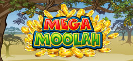 Progressiver Mega Moolah Jackpot erneut gewonnen!