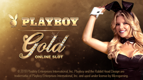 Neue Funktionen mit Playboy im Online Casino